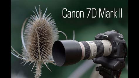 canon 7d mark ii weather sealing test|canon camera weather sealing.